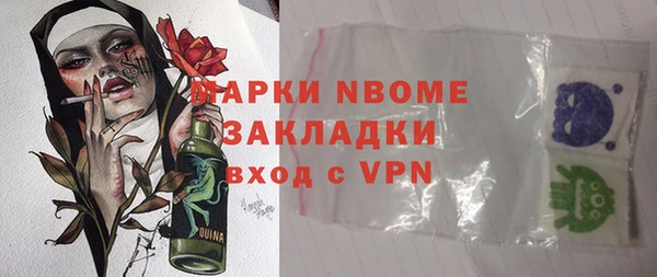 шишки Белоозёрский