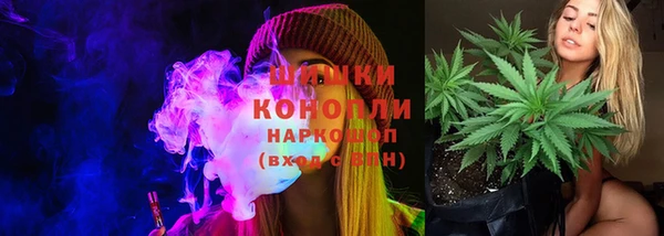шишки Белоозёрский