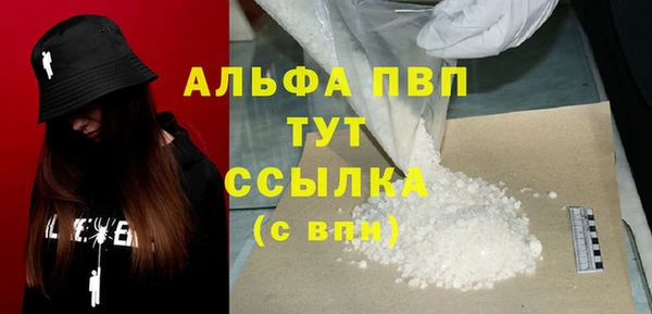 шишки Белоозёрский