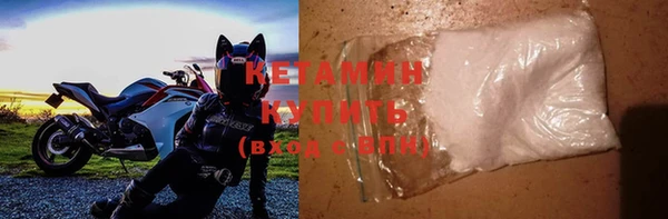 шишки Белоозёрский