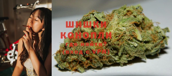 шишки Белоозёрский