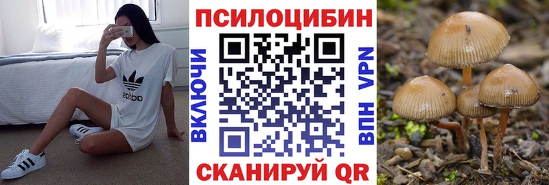 кракен tor  Бутурлиновка  Псилоцибиновые грибы Psilocybe 