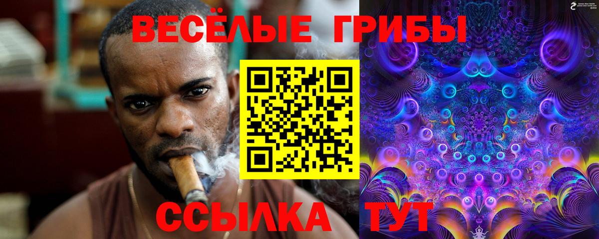 Псилоцибиновые грибы ЛСД  Вход с VPN  Бутурлиновка 